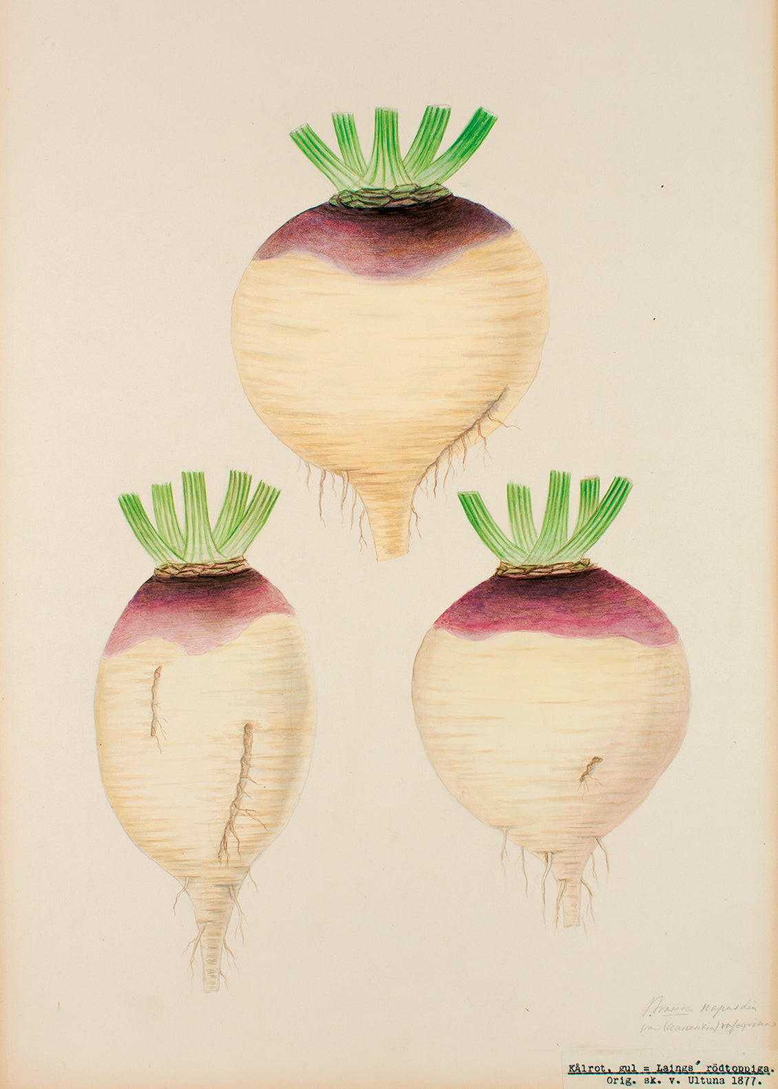 From the Archives No. 5